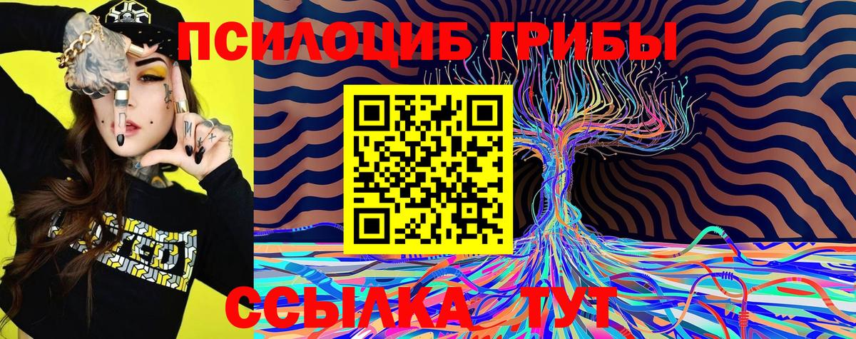 Псилоцибиновые грибы мицелий  Вход с VPN  Ессентуки  Галлюциногенные грибы мухоморы 
