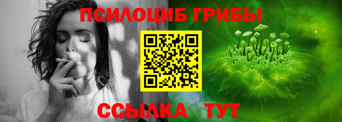 Галлюциногенные грибы Psilocybe Ессентуки